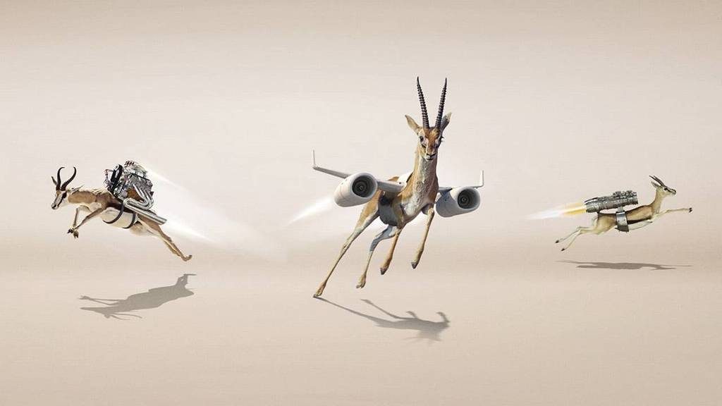 Cream wint FD Gazellen Award